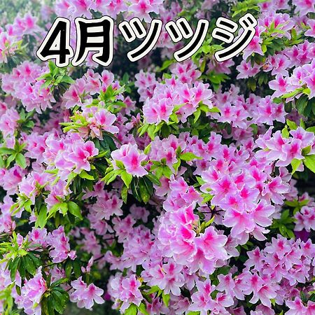 伊都山海渓 Itoshima 외부 사진