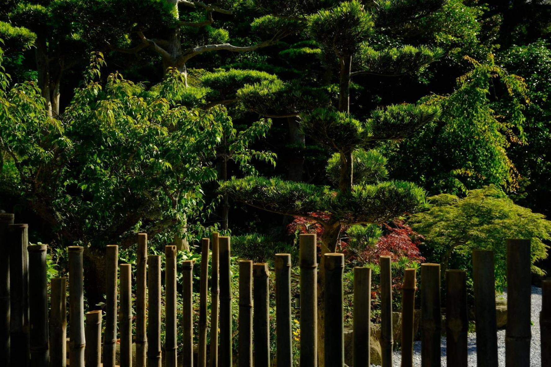 伊都山海渓 Itoshima 외부 사진