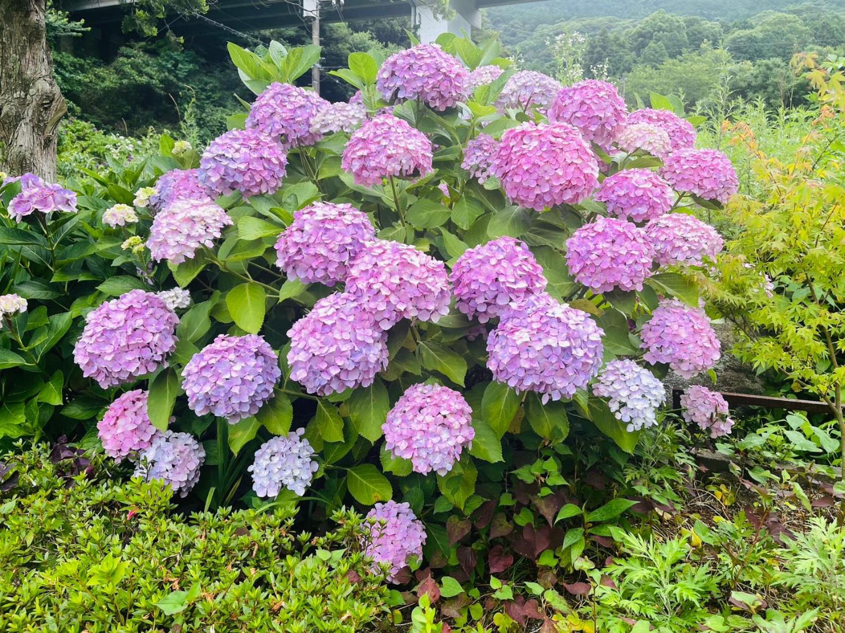 伊都山海渓 Itoshima 외부 사진