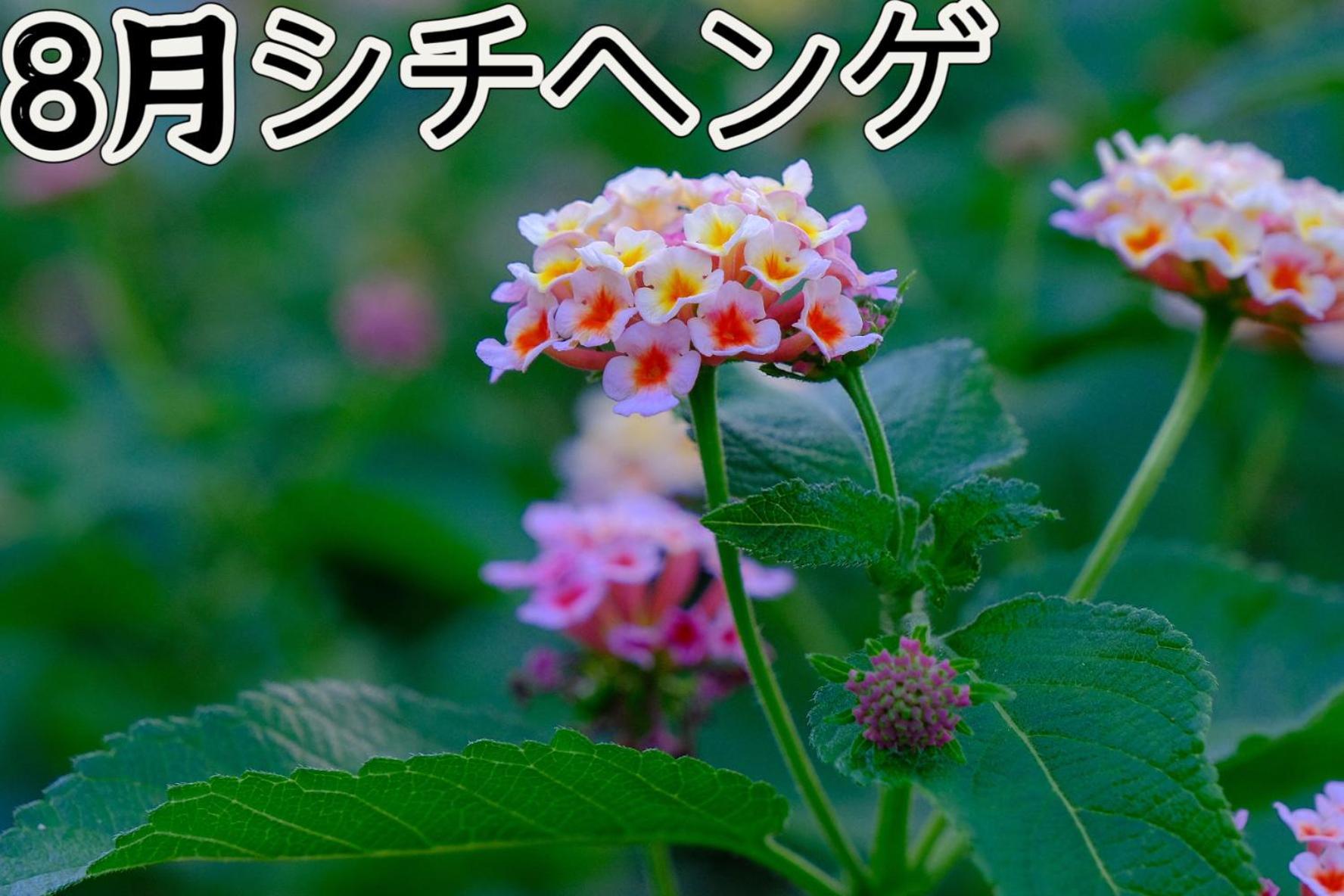 伊都山海渓 Itoshima 외부 사진