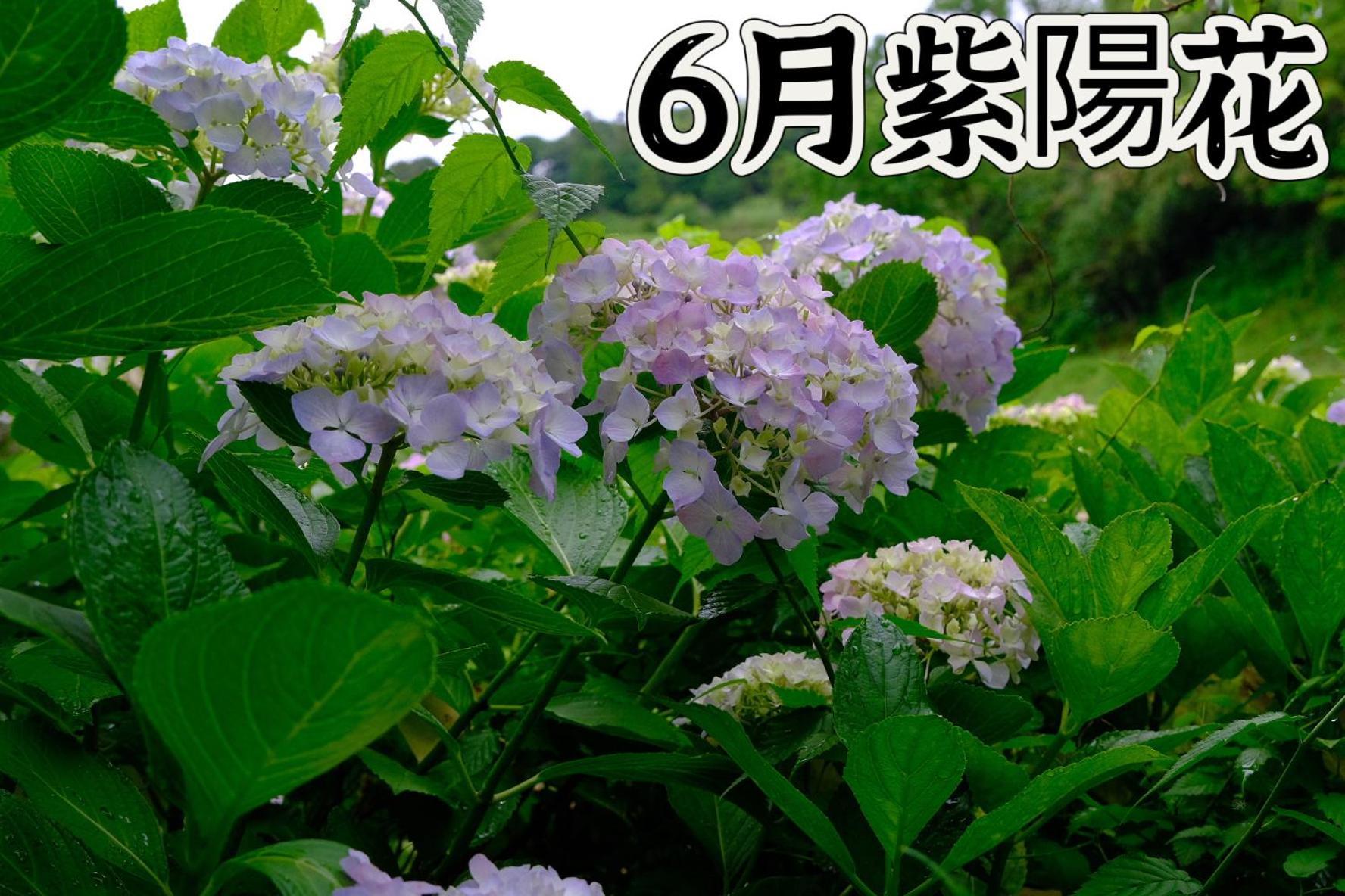 伊都山海渓 Itoshima 외부 사진