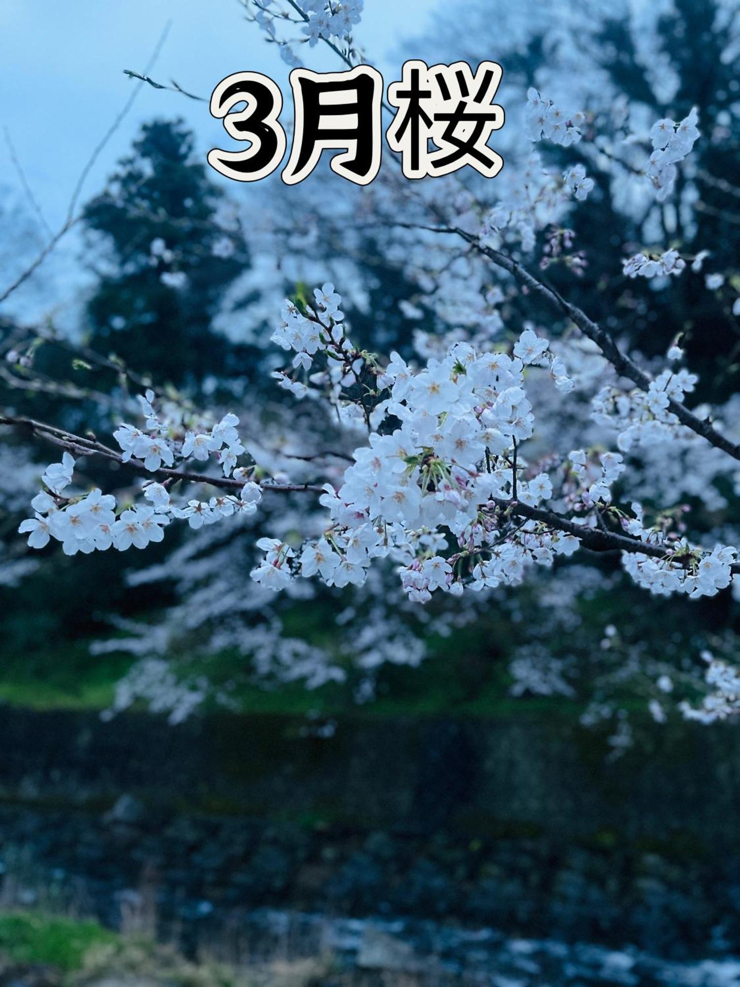 伊都山海渓 Itoshima 외부 사진