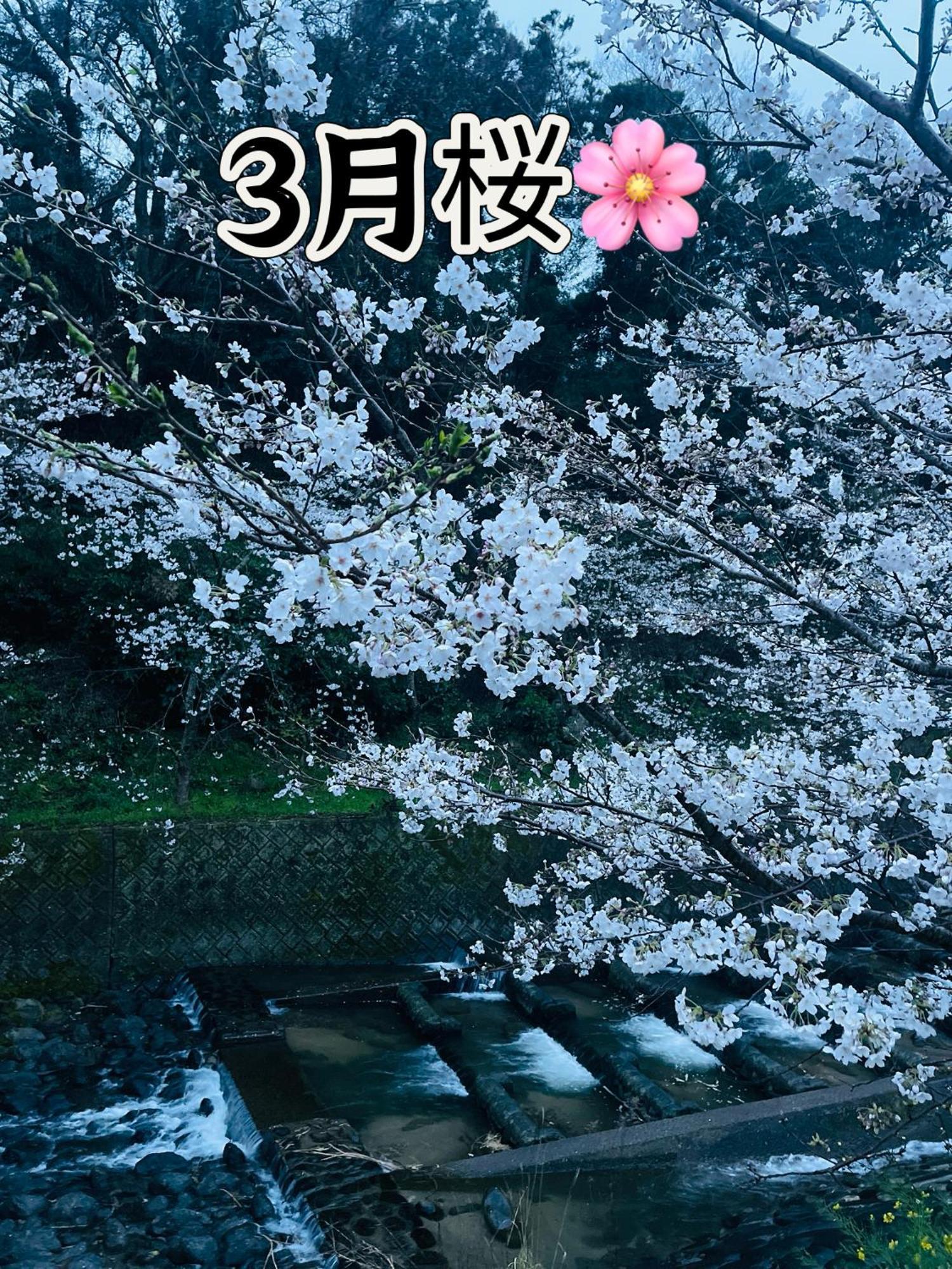 伊都山海渓 Itoshima 외부 사진