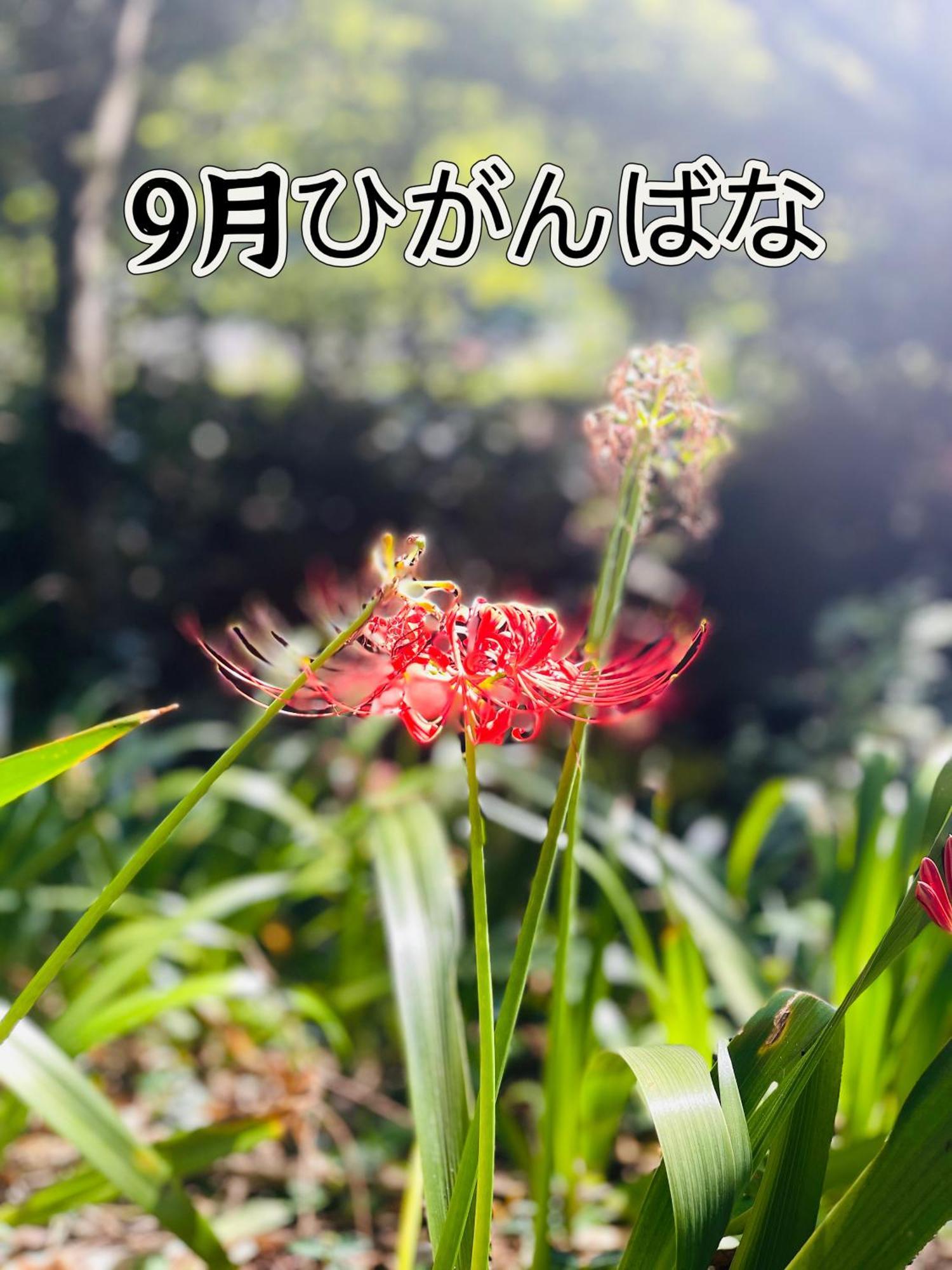 伊都山海渓 Itoshima 외부 사진