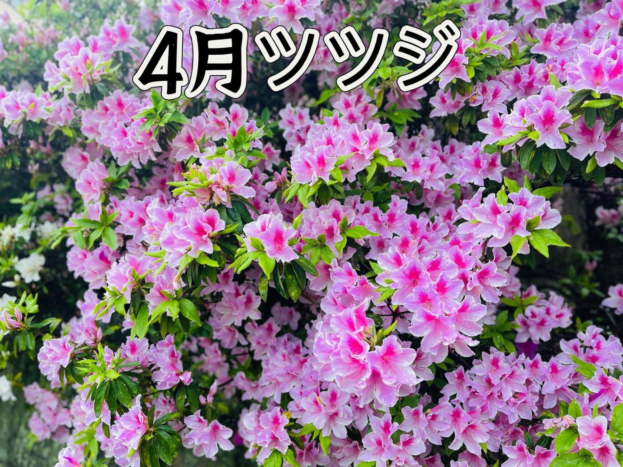 伊都山海渓 Itoshima 외부 사진